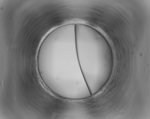 X0000087640864200705181524