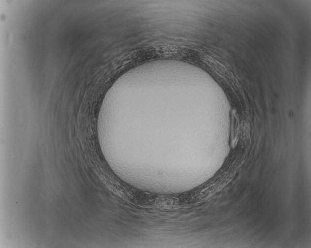 X0000087640865200705181523