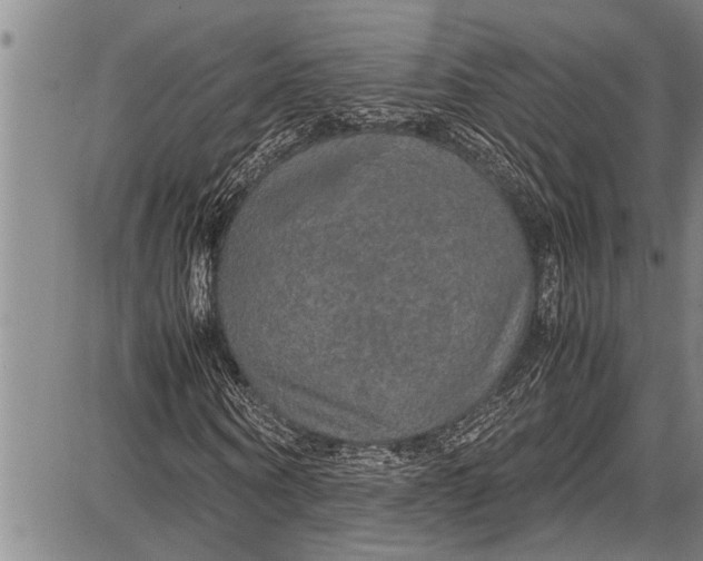 X0000087640866200705181523