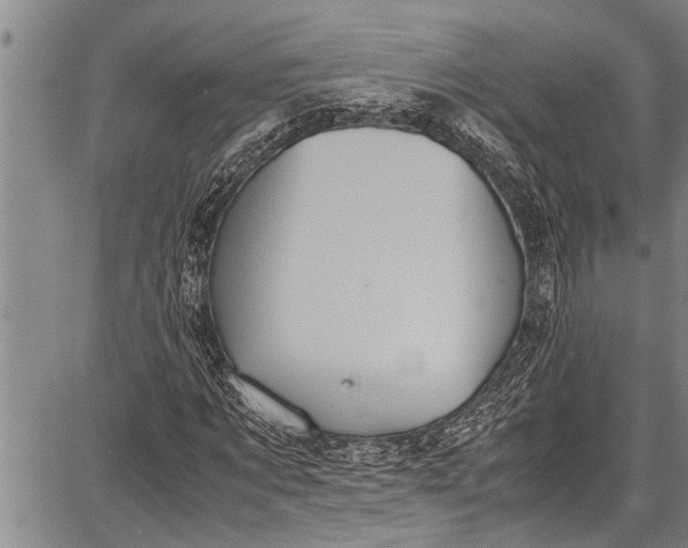 X0000087640869200705181523