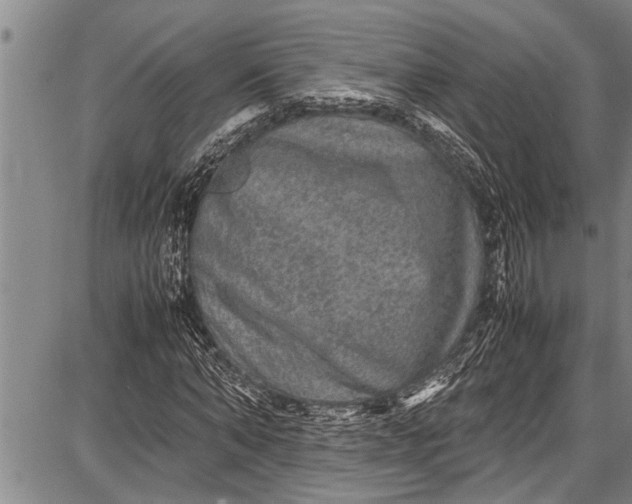 X0000087640870200705181523