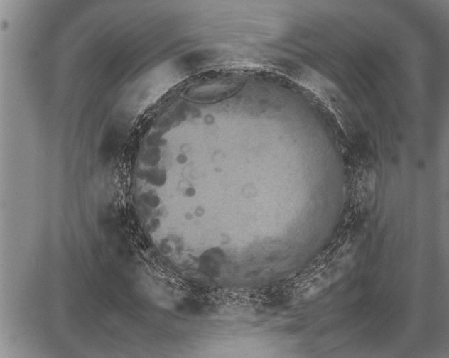 X0000087640871200705181523