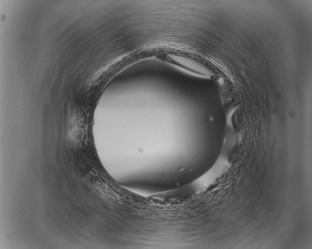 X0000087640872200705181523