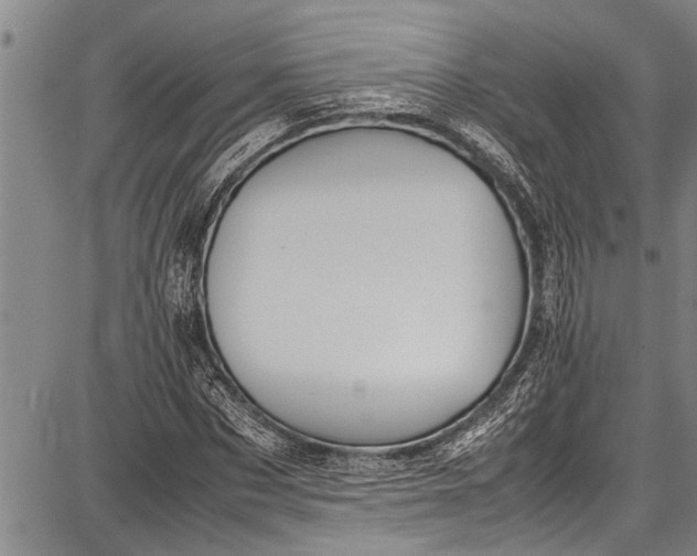 X0000087640873200705181523