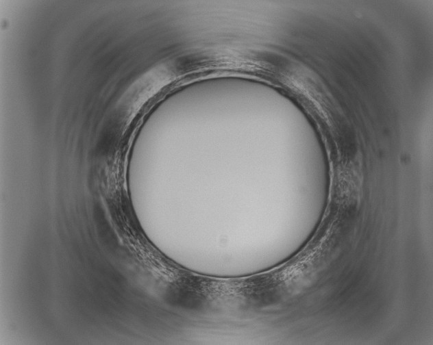 X0000087640875200705181523