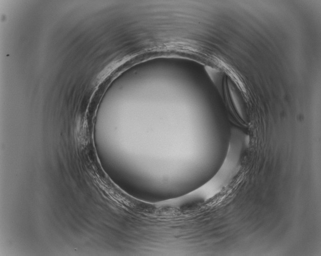 X0000087640876200705181523