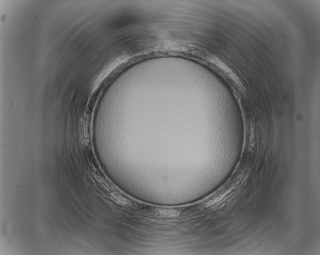 X0000087640878200705181523