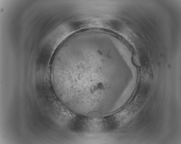 X0000087640879200705181523