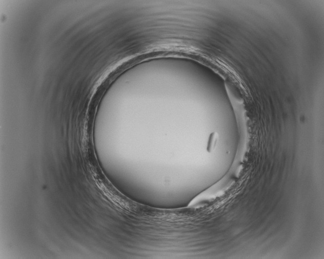 X0000087640880200705181523