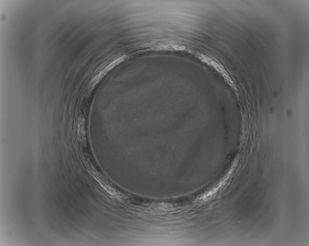 X0000087640881200705181523