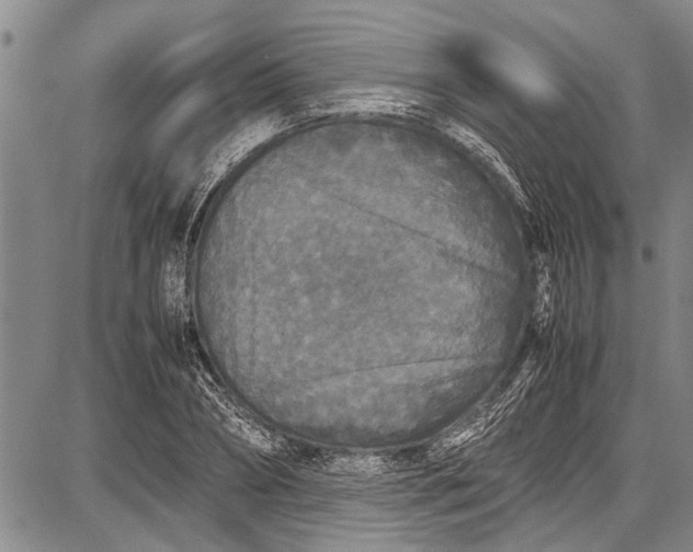 X0000087640882200705181523