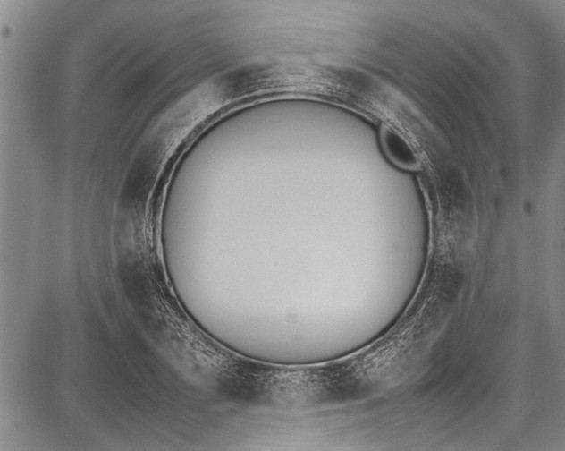 X0000087640883200705181523