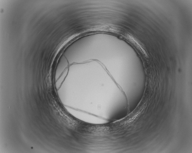 X0000087640884200705181523