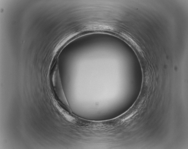 X0000087640885200705181523