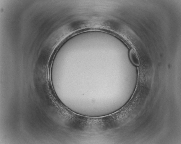 X0000087640887200705181523