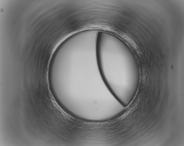 X0000087640888200705181523