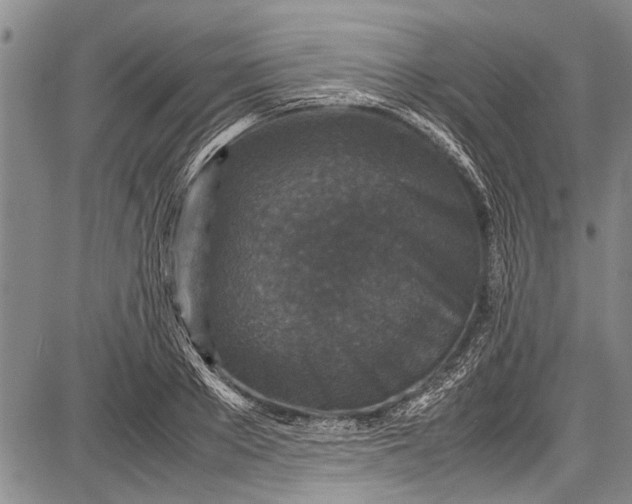 X0000087640889200705181523