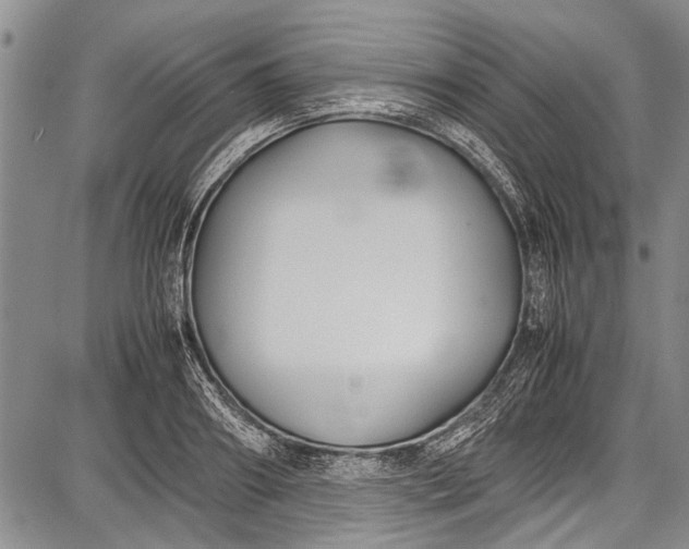 X0000087640890200705181523