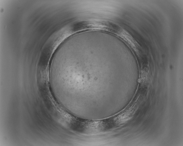 X0000087640891200705181522