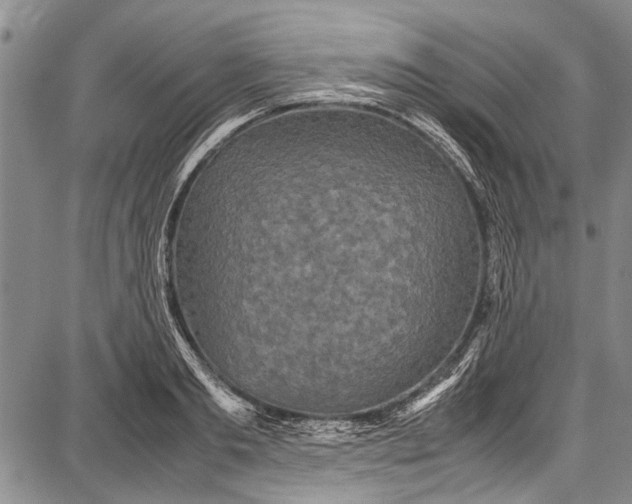 X0000087640893200705181522