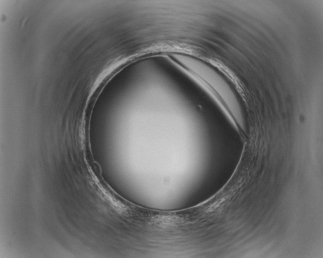 X0000087640894200705181522