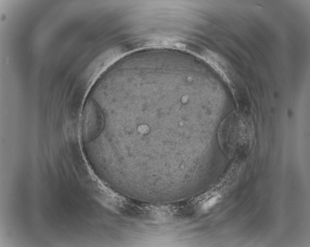 X0000087640895200705181522