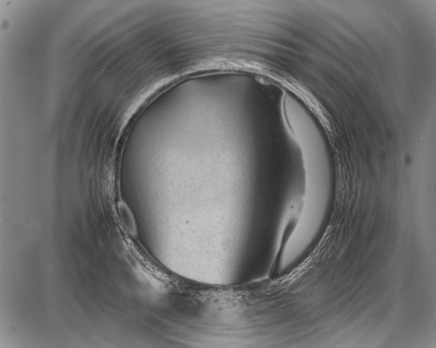 X0000087640896200705181522