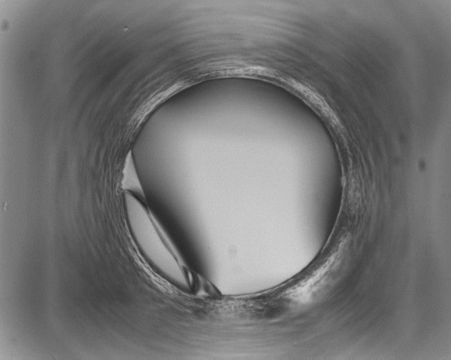 X0000087640897200705181522