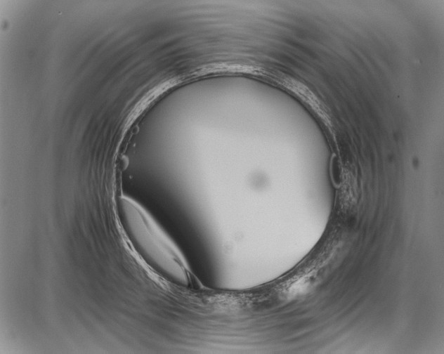 X0000087640898200705181522