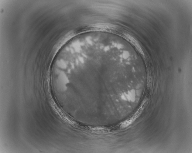 X0000087640899200705181522