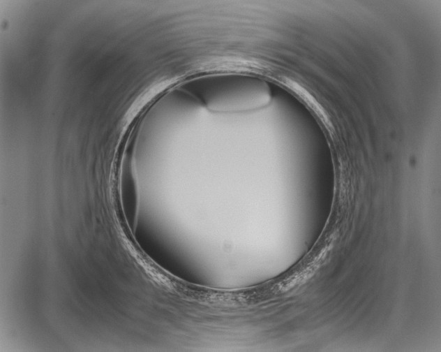 X0000087640901200705181522