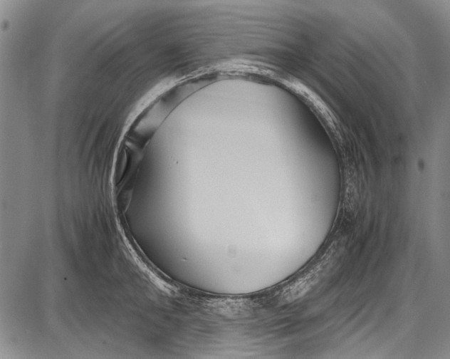 X0000087640902200705181522