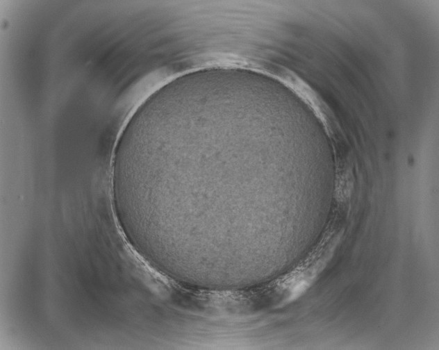 X0000087640903200705181522