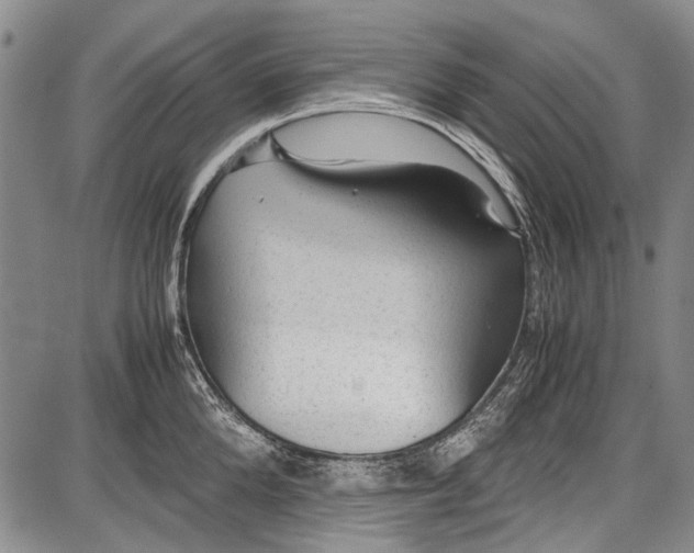 X0000087640904200705181522