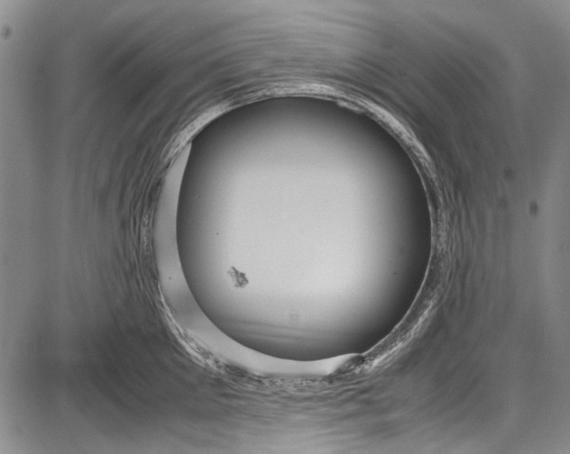 X0000087640905200705181522