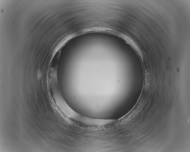 X0000087640906200705181522