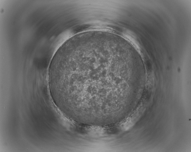 X0000087640907200705181522