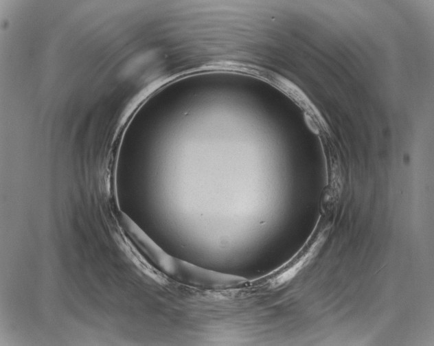 X0000087640908200705181522