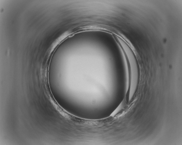 X0000087640909200705181522