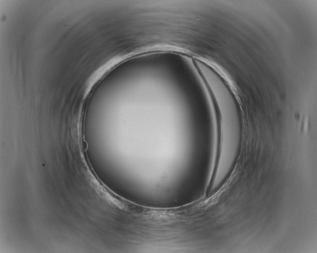 X0000087640910200705181522