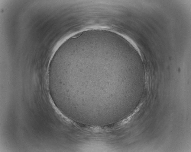 X0000087640911200705181522