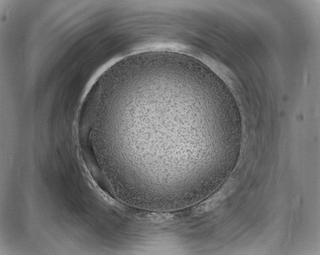 X0000087640912200705181522