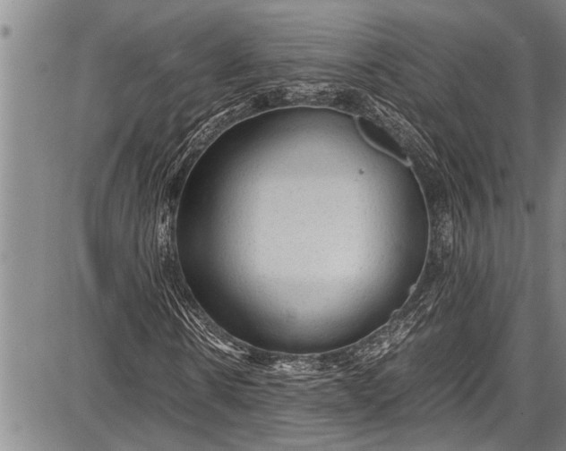 X0000087640914200705181521