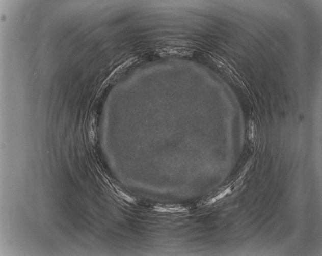 X0000087640915200705181521