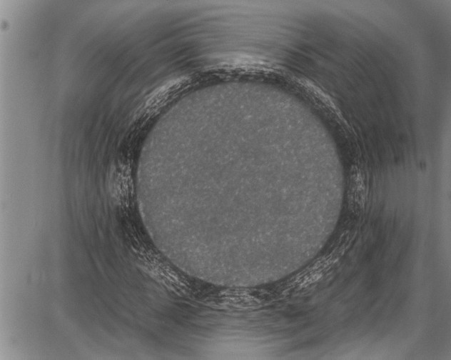 X0000087640918200705181521