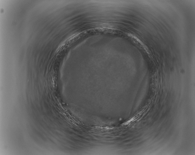 X0000087640919200705181521