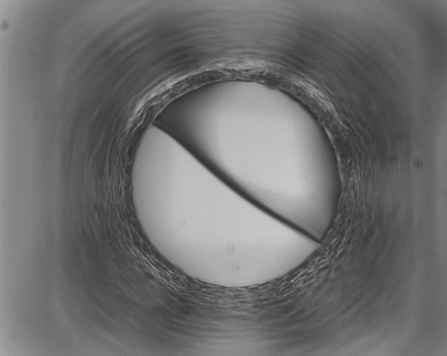 X0000087640920200705181521