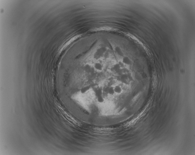 X0000087640921200705181521