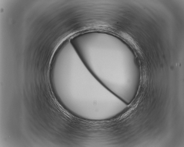 X0000087640924200705181522