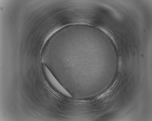 X0000087640925200705181522